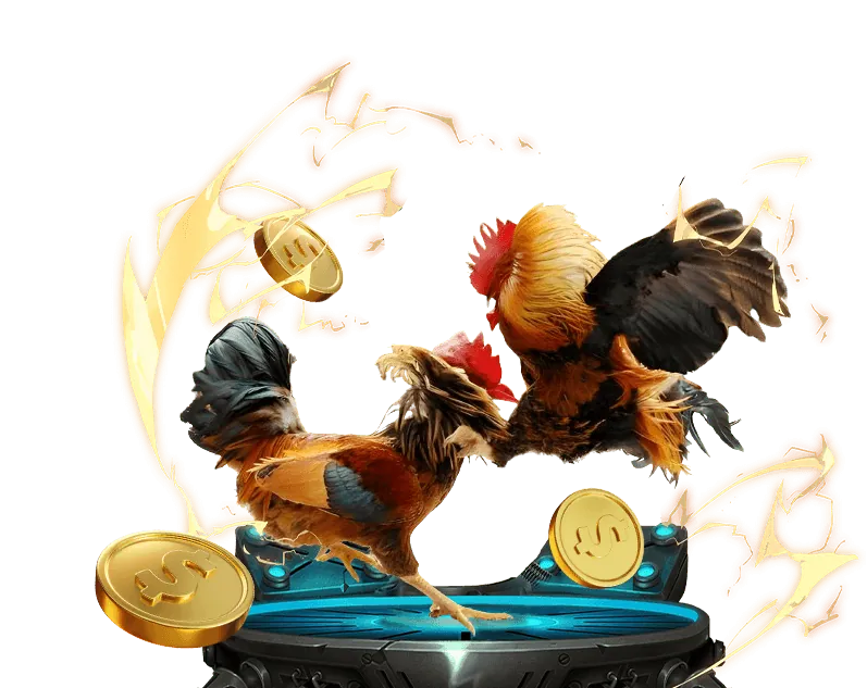 Giấy phép và bảo mật nền tảng poker